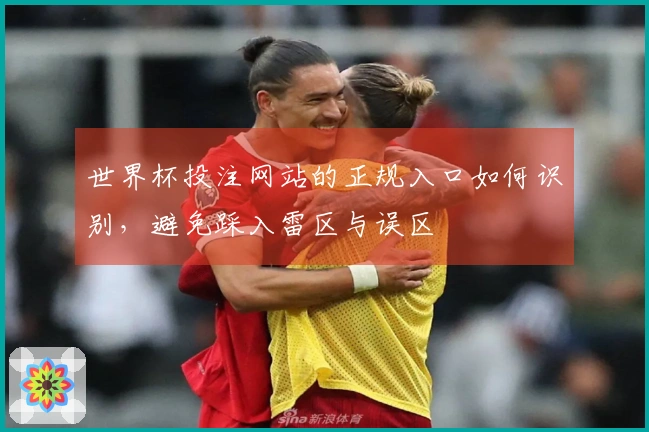 世界杯投注网站的正规入口如何识别，避免踩入雷区与误区