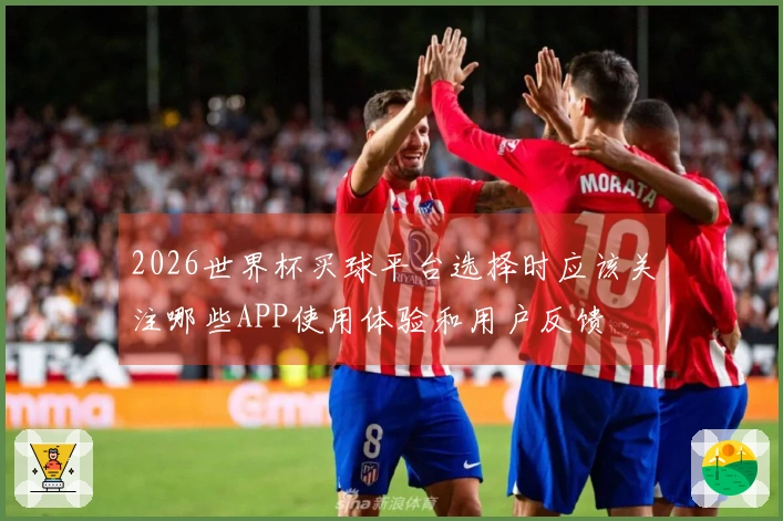 2026世界杯买球平台选择时应该关注哪些APP使用体验和用户反馈