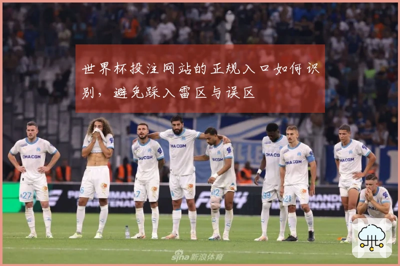 世界杯投注网站的正规入口如何识别，避免踩入雷区与误区