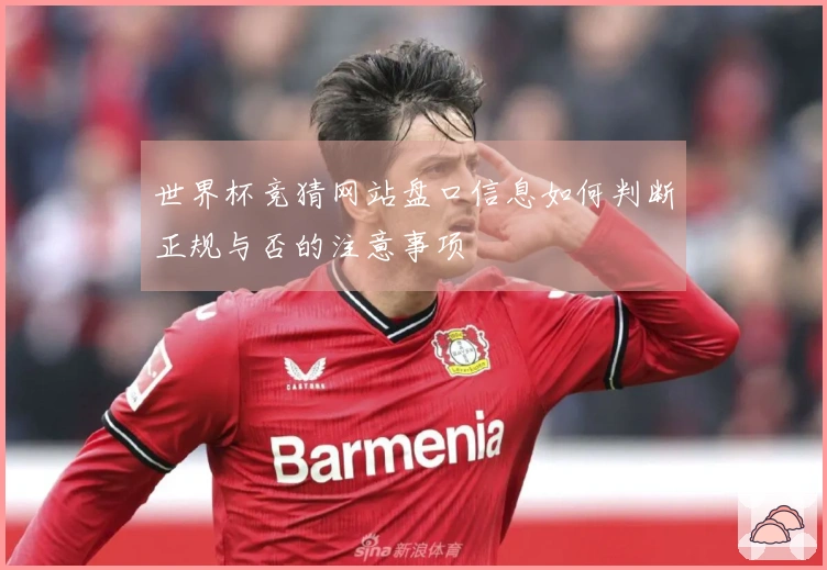 世界杯竞猜网站盘口信息如何判断正规与否的注意事项