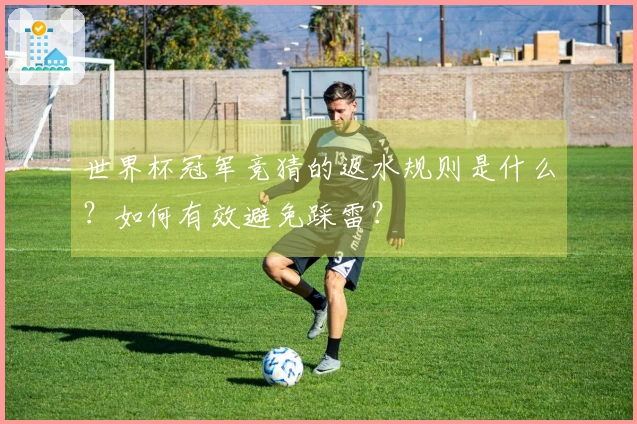 世界杯冠军竞猜的返水规则是什么？如何有效避免踩雷？