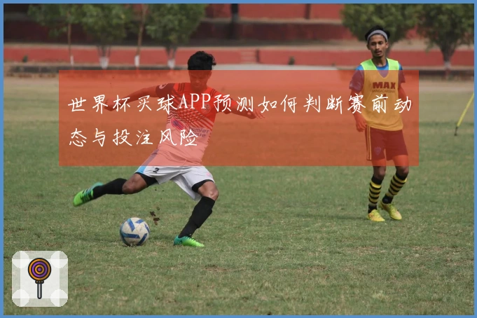 世界杯买球APP预测如何判断赛前动态与投注风险
